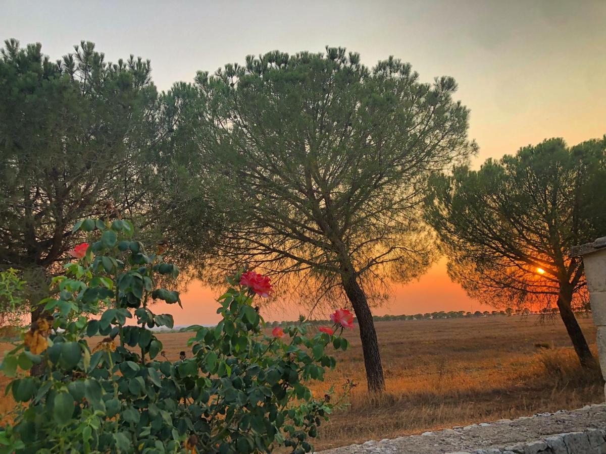 Masseria Casina Montana Corigliano dʼOtranto Eksteriør bilde