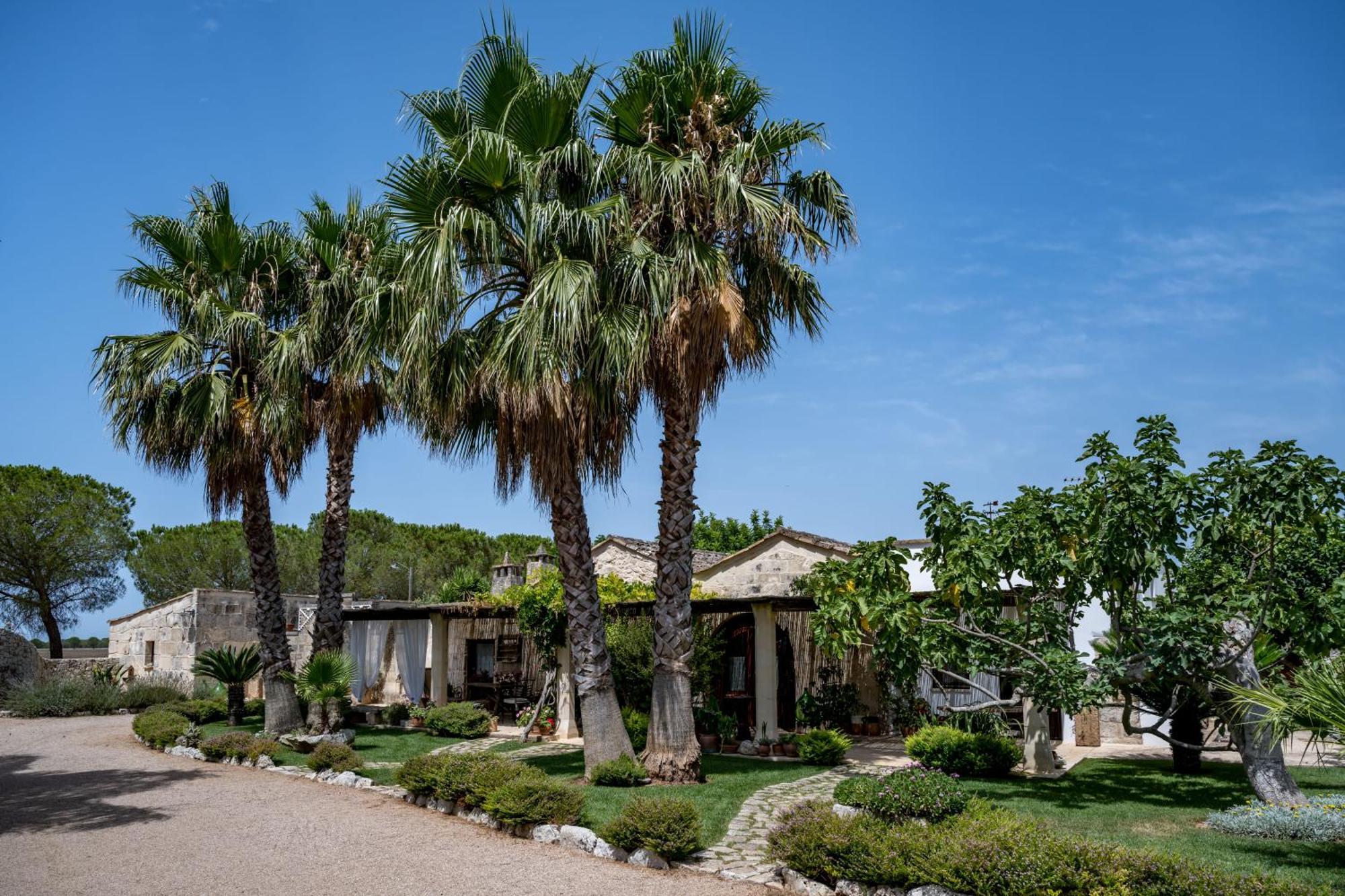 Masseria Casina Montana Corigliano dʼOtranto Eksteriør bilde