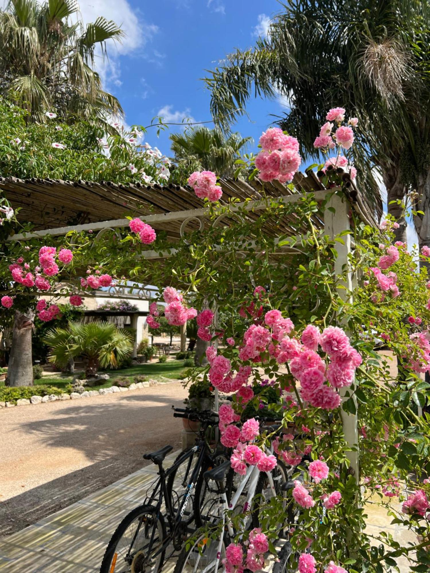 Masseria Casina Montana Corigliano dʼOtranto Eksteriør bilde