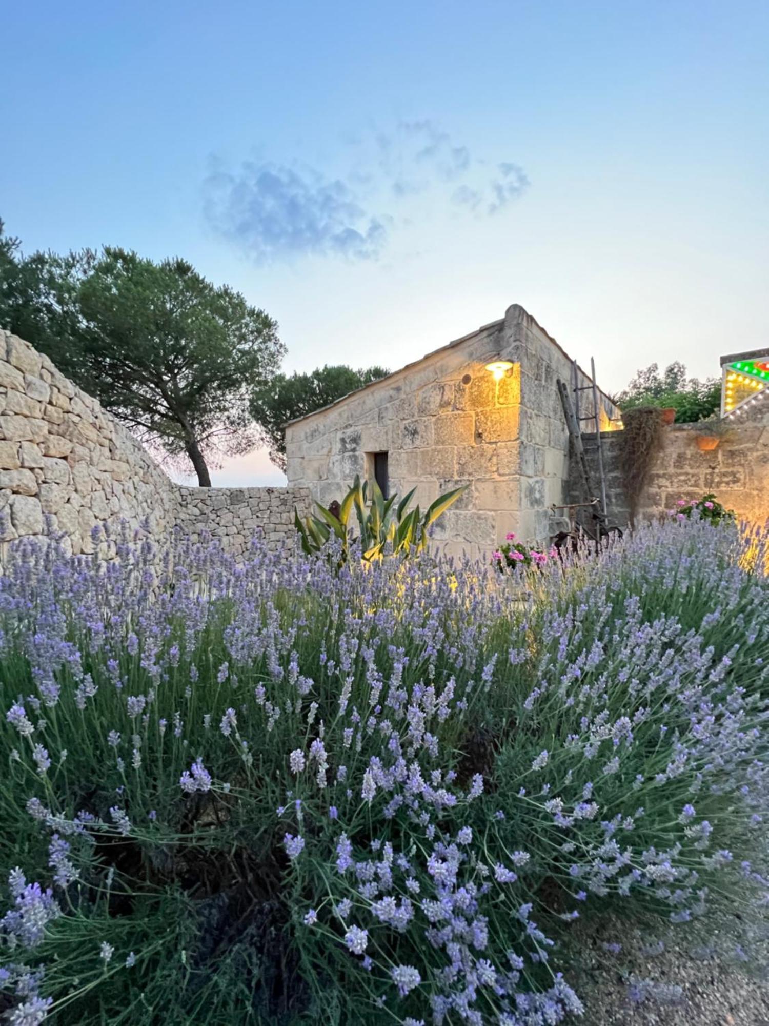Masseria Casina Montana Corigliano dʼOtranto Eksteriør bilde