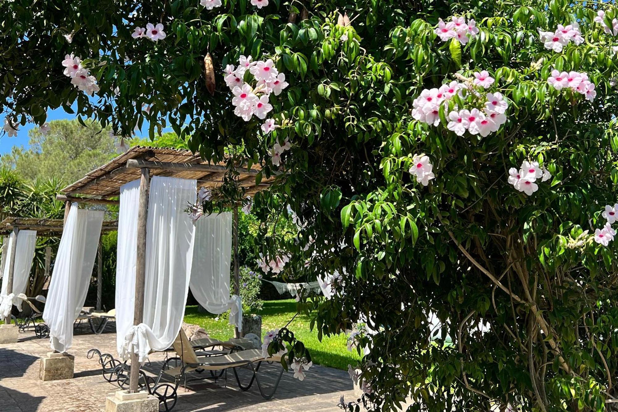 Masseria Casina Montana Corigliano dʼOtranto Eksteriør bilde